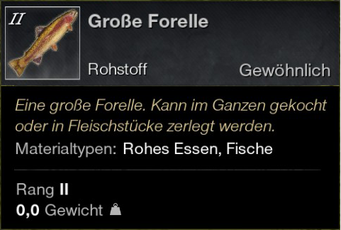 Große Forelle