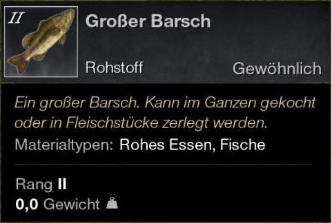 Großer Barsch