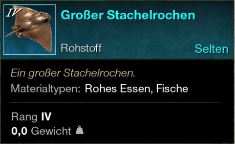 Großer Stachelrochen