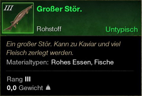 Großer Stör