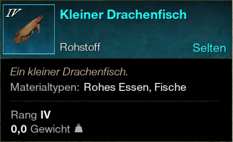 Kleiner Drachenfisch