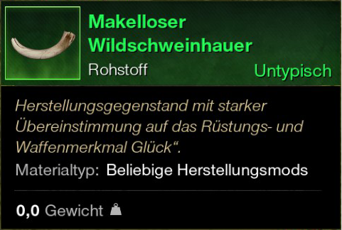 Makelloser Wildschweinhauer