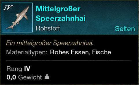 Mittelgroßer Speerzahnhai