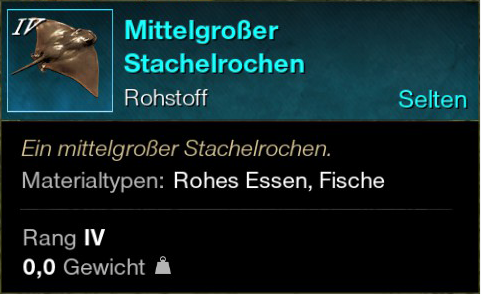 Mittelgroßer Stachelrochen