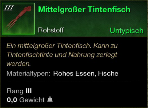 Mittelgroßer Tintenfisch