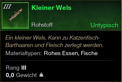 Kleiner Wels