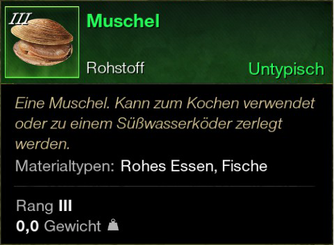 Muschel